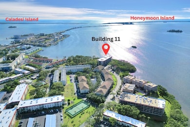 2700 Bayshore Blvd unit 11308, Dunedin, FL 34698 - photo 5