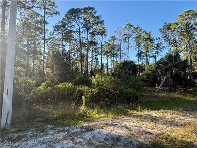 Come out and see this Vacant Residential Lot in Alva FL