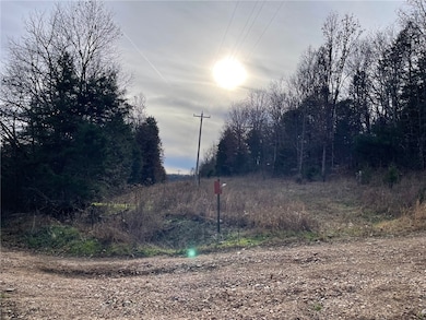 0 Falcon Ln, Berryville, AR 72616 - photo 4