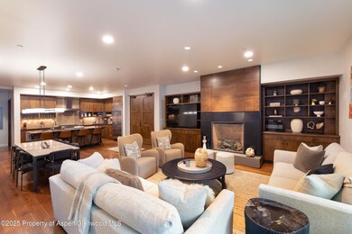 233 E Cooper Ave unit 104, Aspen, CO 81611 - photo 4