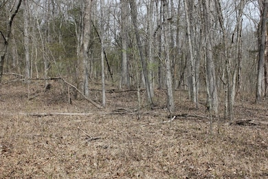 1500 Baxter Ridge Rd, Lawrenceburg, KY 40342 - photo 7