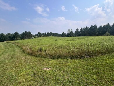 V/L S Dow Rd, West Branch, MI 48661 - photo 4