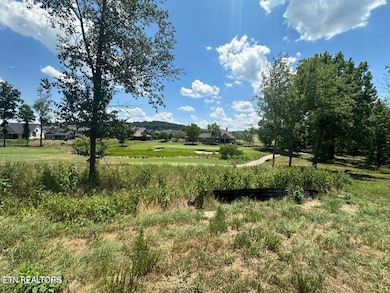 987 Mockingbird Ln, Loudon, TN 37774 - photo 6