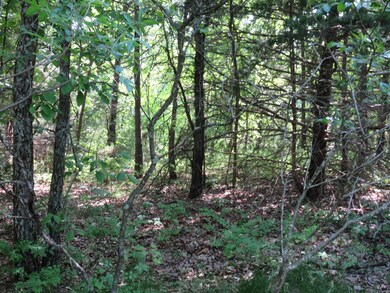 0 L 11 Spice Rd, North Galloway Township, MO 65721 - photo 3