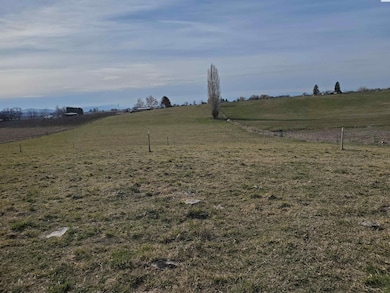 NKN Dekker Rd, Outlook, WA 98938 - photo 2