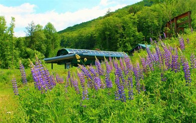 53 S Peak Rd unit PR 30, Lincoln, NH 03251 - photo 4