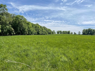 XXXX Edgewater Ln, Little Sauk Township, MN 56347 - photo 2