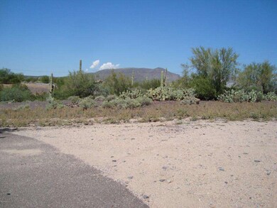 View of Elephant Butte