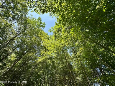 0 Baylors Pond Rd unit 25-4015, North Abington Twp., PA 18420 - photo 2