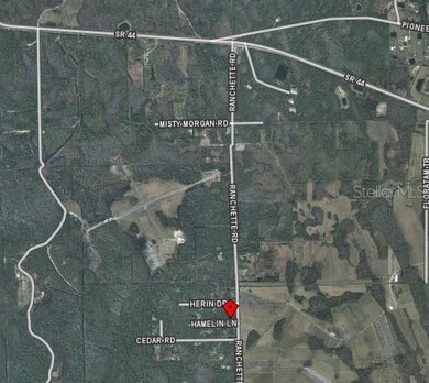 442 Ranchette Rd, New Smyrna Beach, FL 32168 - photo 4