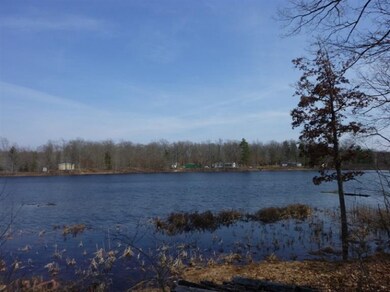 10712 N Beaver Trail, Bitely, MI 49309 - photo 4