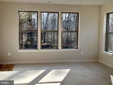 13676 Innovation Station Loop, Hunter Mill District, VA 20171 - photo 2