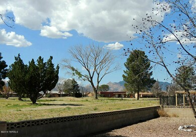 View from Back Yard