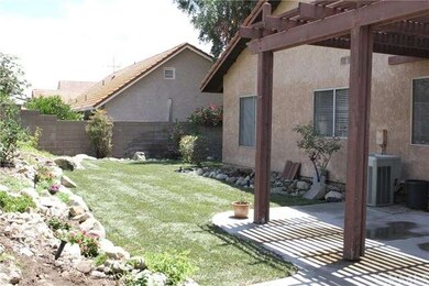 Gorgeous Backyard