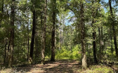 222 SW Loncala Loop, Fort White, FL 32038 - photo 4