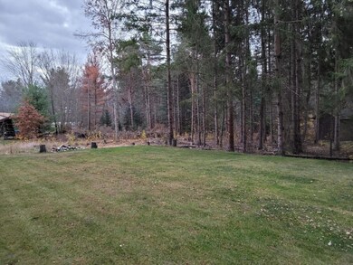 BACK YARD- SEPTIC DRAIN FIELD