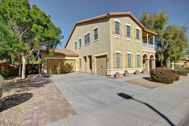 Cocopah (1)