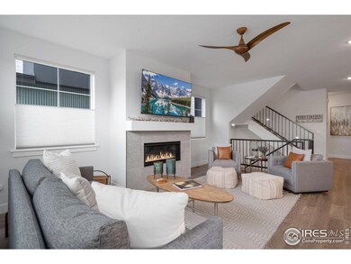 468 Osiander St, Fort Collins, CO 80524 - photo 4