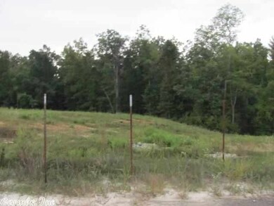 lot 3 Salam Ridge, Jonesboro, AR 72401 - photo 5