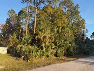 9 Pinelark Ln, Palm Coast, FL 32164 - photo 2