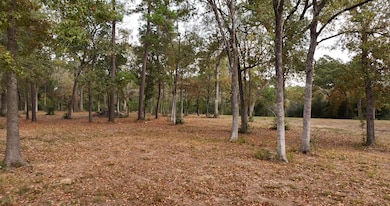 0 Spring Branch Rd unit 25624263, Montgomery, TX 77316 - photo 7