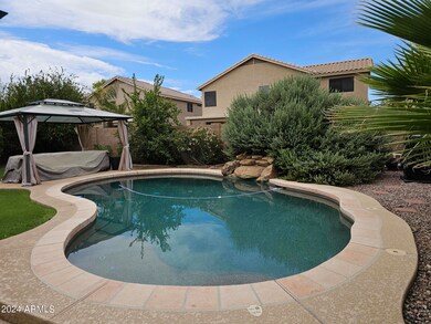 Pool & Cabana
