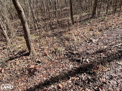 0 Co Rd 65 unit 24094921, Swaim, AL 35745 - photo 5