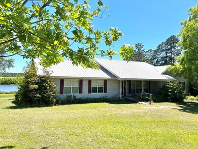 View from backside of pond