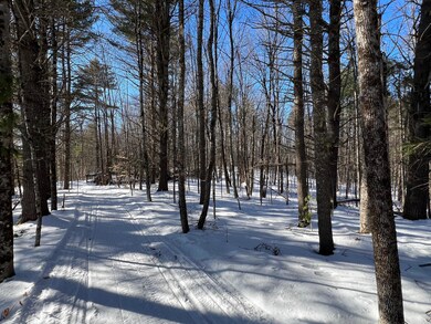 5 Lookout Ave, Dover-Foxcroft, ME 04426 - photo 6