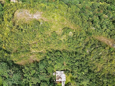 PR-446 Km 7 5, Isabela, PR 00662 - photo 7