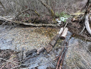 C-LOT 6 U S 395, Chewelah, WA - photo 4