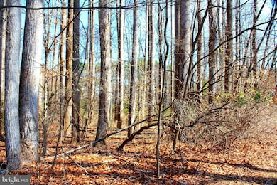 0 Scott Cir unit MDSM2027260, Mechanicsville, MD 20659 - photo 6