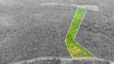 1432 Mardisville Rd, Talladega, AL 35160 - photo 2