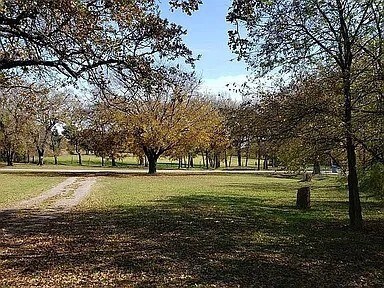 511 E Oakdale St unit 314, Keene, TX 76059 - photo 3