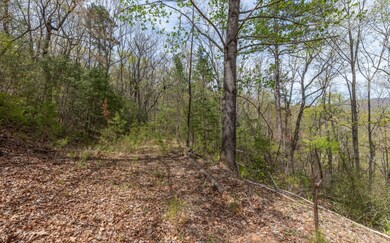 LT 59 Big Creek Mountain, Ellijay, GA 30536 - photo 3