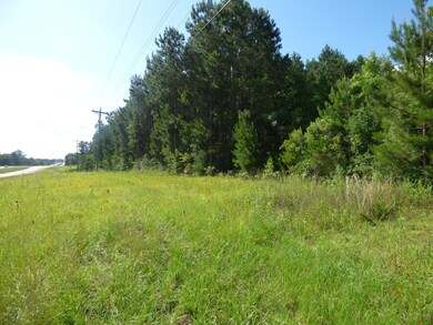 0 Hwy 98 Hwy E unit 136476, McComb, MS xxxxx - photo 2
