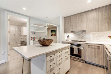 140 Shawmut Ave unit 3B, Boston, MA 02118 - photo 3