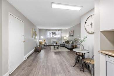 10 Riverside St unit 1-4, Watertown, MA 02472 - photo 7