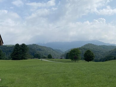 550 Falling Rock Rd, Bowden, WV 26254 - photo 7