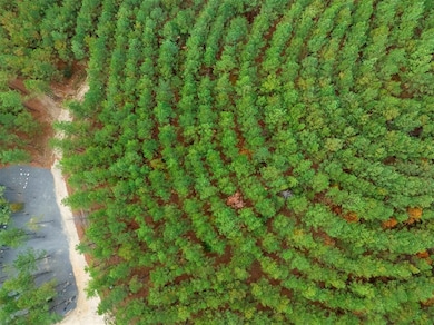 295 Hochapine Trail, Broken Bow, OK 74728 - photo 3