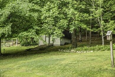 23 - Back yard 2 (1 of 1).jpg