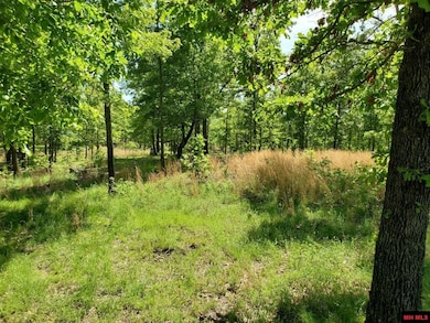 6537 Mount Calm Rd, Gepp, AR 72538 - photo 6