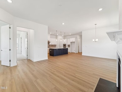 224 Trunnel St, Holly Springs, NC 27540 - photo 6