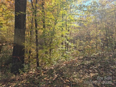 856 Horseshoe Bend Rd, Troy, NC 27371 - photo 5