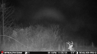 1300 Coosa County Road 71, Kellyton, AL 35089 - photo 3