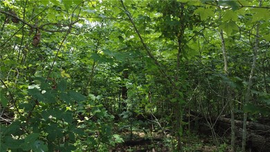 0 Buckland Ln, Bella Vista, AR 72715 - photo 5