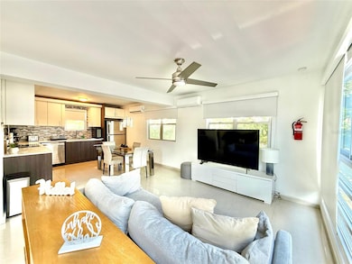 1105 Ribot unit 4, San Juan, PR 00907 - photo 4
