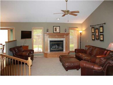 Spacious Vaulted Living Room with fireplace. Ranch