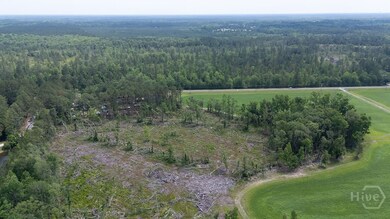 0 Old Louisville Rd unit Lot 5, Guyton, GA 31312 - photo 4