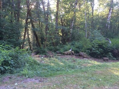 0 Mountain Loop Hwy unit 963635, Granite Falls, WA 98252 - photo 4